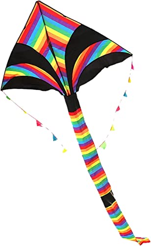 LYVQZPWLRDer Drache, großer Drachen Drachen for Kinder und Erwachsene Großer Regenbogen-Langschwanzdrachen Einfach zu fliegen Geeignet von LYVQZPWLR