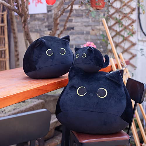 LYVQZPWLRMoleküle tragen Kissen, Schwarzes Katzen-Plüschtier, Schwarzes Katzenkissen, Süße Kissen aus Baumwolle, Auto-Wohndekoration, Geburtstag(18cm) von LYVQZPWLR