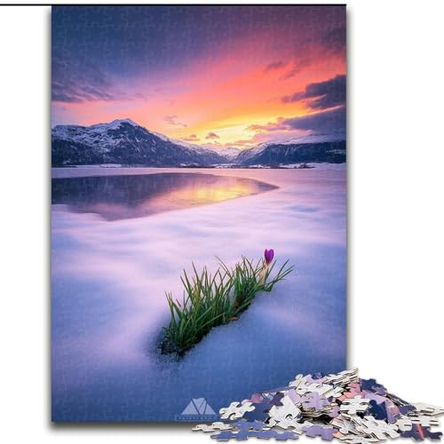 Puzzle 1000 Teile für Erwachsene, Wunderschöne Berge und Seen, Puzzle-Familienaktivitätsspiel für Teenager, anspruchsvolles Denkspiel (Größe 26x38cm) von LYXIANY
