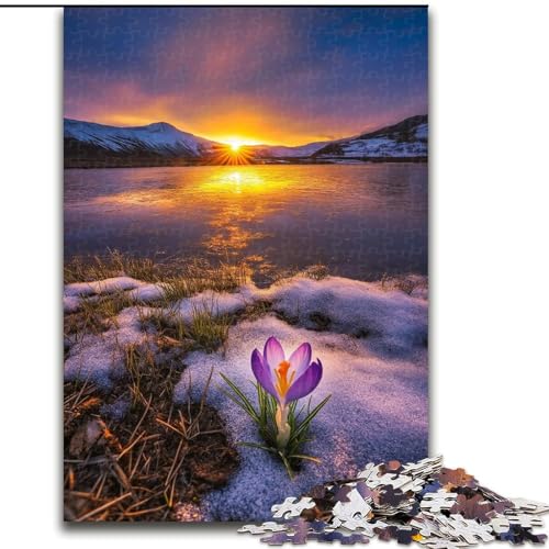 Wunderschöne Berge und Seen Puzzles für Teenager 1000, Lernspiele, Heimdekoration, einzigartige Heimdekoration und Geschenke (26x38cm) von LYXIANY