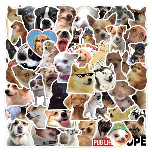 Funny Dog Aufkleber 50 Stücke Niedlich Deko für Auto Laptop Skateboard Fahrrad Moped Motorrad Fahrrad Computer,Geeignet für Erwachsene Kinder lustige Hunde ästhetisch Sticker Set Funny Dog Aufkleber 50 Stücke Niedlich Deko für Auto Laptop Skateboard Fahrrad Moped Motorrad Fahrrad Computer,Geeignet für Erwachsene Kinder lustige Hunde ästhetisch Sticker Set von LYunMu