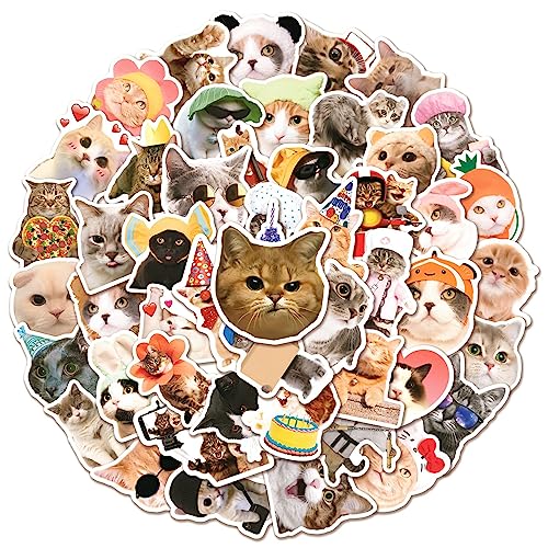 Funny Katze Aufkleber Katze Sticker Set 50 Stücke Niedlich Deko für Auto Laptop Skateboard Fahrrad Moped Motorrad Fahrrad Computer,Geeignet für Erwachsene Kinder von LYunMu