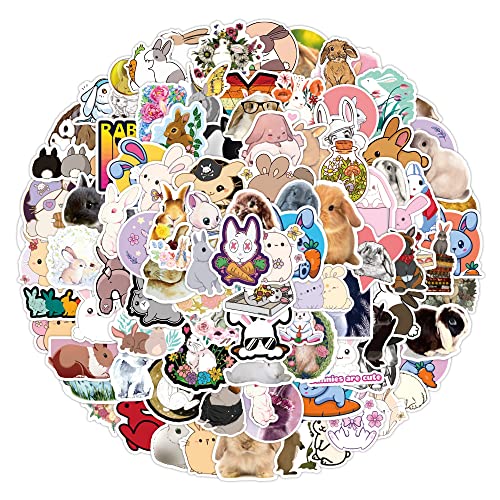 Kaninchen Aufkleber Rabbit Sticker Set 100 Stücke Niedlich Deko für Auto Laptop Skateboard Fahrrad Moped Motorrad Fahrrad Computer,Geeignet für Erwachsene Kinder von LYunMu
