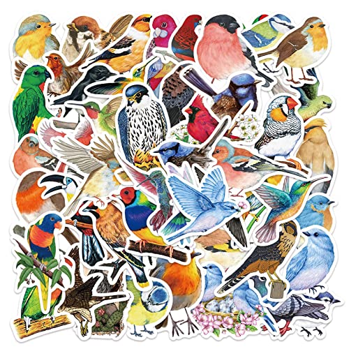 Vogel Aufkleber Watercolor Bird Sticker Set 50 Stücke Niedlich Deko für Auto Laptop Skateboard Fahrrad Moped Motorrad Fahrrad Computer,Geeignet für Erwachsene Kinder Vogel Aufkleber Watercolor Bird Sticker Set 50 Stücke Niedlich Deko für Auto Laptop Skateboard Fahrrad Moped Motorrad Fahrrad Computer,Geeignet für Erwachsene Kinder von LYunMu