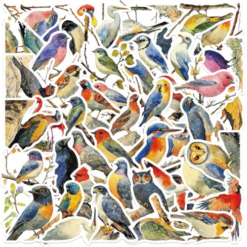 Watercolor Bird Aufkleber 50 Stücke Niedlich Deko für Auto Laptop Skateboard Fahrrad Moped Motorrad Fahrrad Computer,Geeignet für Erwachsene Kinder Wasservögel Sticker Set von LYunMu
