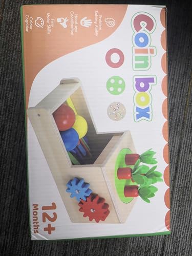 LZDMY Montessori Münzbox von LZDMY