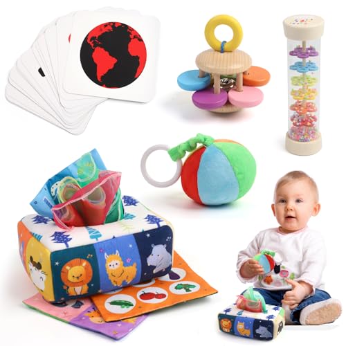 LZDMY Baby Spielzeug 0-6 Monate, 5-in-1 Montessori Spielzeug Regenmacher, Holzrassel Tücherbox, Kontrastkarten Schwarz Weiß, Softball, Sensorik Visuelle Stimulation Geschenk für 3 Monate von LZDMY
