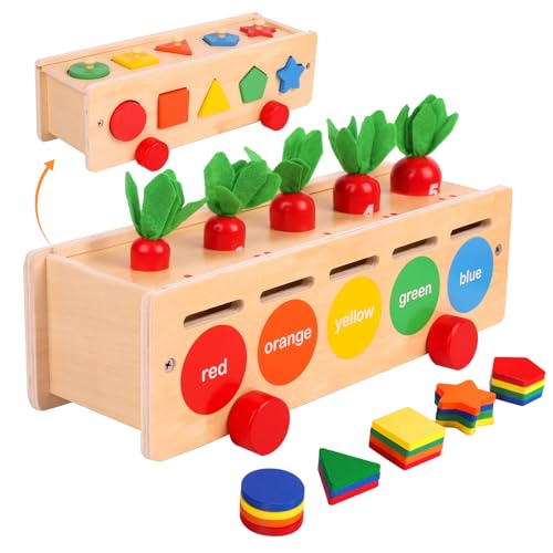 LZDMY Montessori Spielzeug ab 1 2 3 Jahre, Holzspielzeug ab 1 Jahr Baby Spielzeug Motorikspielzeug Form- und Farbsortierspiel Sensorisches lernspielzeug für Ostern Geburtztag Geschenk Mädchen Jungen von LZDMY