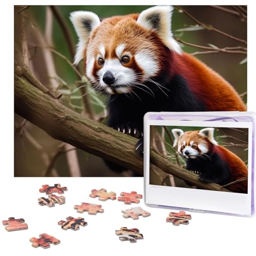 Puzzle 500 Teile Roter Panda auf Baumzweig-Puzzles Personalisiertes Bilderpuzzle für Erwachsene Fotopuzzles Holzpuzzles Geschenk Klassisches Puzzle für Familie Hochzeit Geburtstag Valentinstag Puzzle 500 Teile Roter Panda auf Baumzweig-Puzzles Personalisiertes Bilderpuzzle für Erwachsene Fotopuzzles Holzpuzzles Geschenk Klassisches Puzzle für Familie Hochzeit Geburtstag Valentinstag von LZQPOEAS