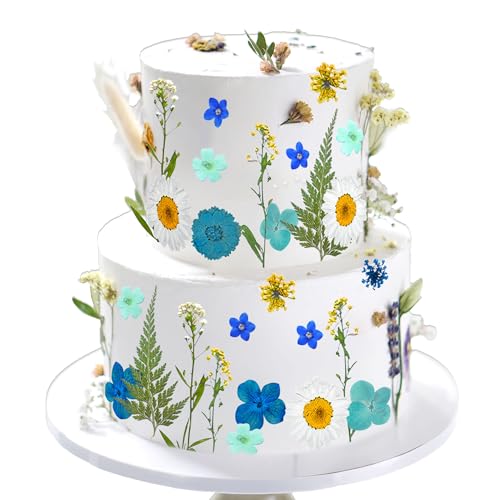 LaVenty Blau Wildflower Tortenaufleger Wildflower Tortendekoration BabyIn Bloom für BabyShower Geburtstag Bridal Shower Hochzeit Party Dekoration LaVenty Blau Wildflower Tortenaufleger Wildflower Tortendekoration BabyIn Bloom für BabyShower Geburtstag Bridal Shower Hochzeit Party Dekoration von LaVenty