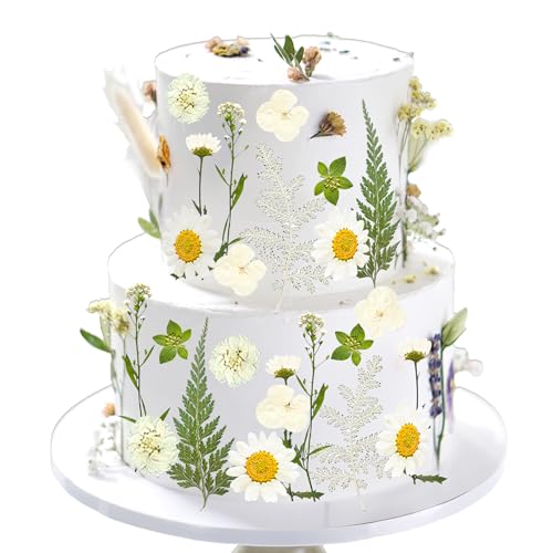 LaVenty Gänseblümchen-Kuchendekoration, Wildblumen-Dekoration, Baby in Blüte, für Babyparty, Geburtstag, Brautparty, Hochzeit, Party-Dekoration LaVenty Gänseblümchen-Kuchendekoration, Wildblumen-Dekoration, Baby in Blüte, für Babyparty, Geburtstag, Brautparty, Hochzeit, Party-Dekoration von LaVenty