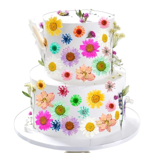LaVenty Regenbogen-Wildblumen-Kuchenaufsatz, Wildblumen-Dekoration, Baby in Blüte, für Babyparty, Geburtstag, Brautparty, Hochzeit, Party-Dekoration LaVenty Regenbogen-Wildblumen-Kuchenaufsatz, Wildblumen-Dekoration, Baby in Blüte, für Babyparty, Geburtstag, Brautparty, Hochzeit, Party-Dekoration von LaVenty