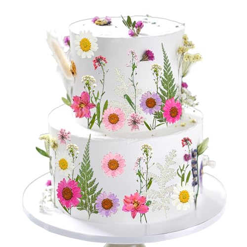 LaVenty Rosa Wildblumen-Kuchenaufsätze, Wildblumen-Dekoration, Baby in Blüte, für Babyparty, Geburtstag, Brautparty, Hochzeit, Party-Dekoration LaVenty Rosa Wildblumen-Kuchenaufsätze, Wildblumen-Dekoration, Baby in Blüte, für Babyparty, Geburtstag, Brautparty, Hochzeit, Party-Dekoration von LaVenty