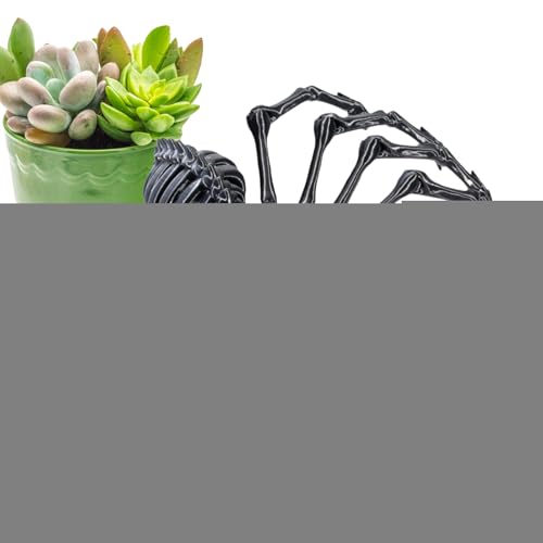 3D-gedruckte bewegliche Spinne, 3D-gedrucktes Spinnenspielzeug - Artikulierte gefälschte Spinnenfiguren,Stressabbau-Schreibtischspielzeug für Erwachsene, Zappelspielzeug, Partygeschenke für Geburtstag 3D-gedruckte bewegliche Spinne, 3D-gedrucktes Spinnenspielzeug - Artikulierte gefälschte Spinnenfiguren,Stressabbau-Schreibtischspielzeug für Erwachsene, Zappelspielzeug, Partygeschenke für Geburtstag von Lainiaoly
