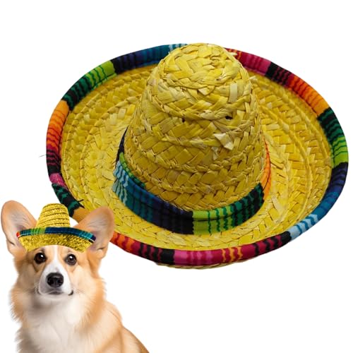 Lainiaoly Mini Sombrero,Gewebene Mexikanische Festhüte - Kopfband Mit Breiter Krempe Kinder Kostüm Deko Geburtstagsfeiern Lainiaoly Mini Sombrero,Gewebene Mexikanische Festhüte - Kopfband Mit Breiter Krempe Kinder Kostüm Deko Geburtstagsfeiern von Lainiaoly