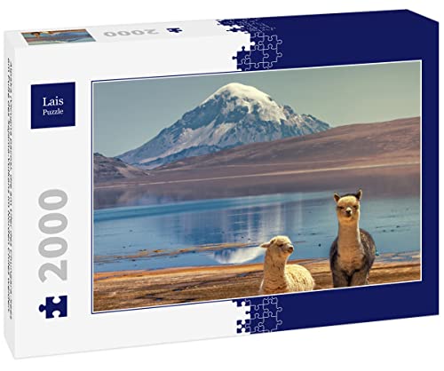 Lais Puzzle Alpaka (Vicugna Pacos), die am Ufer des Chungara-Sees am Fuße des Sajama-Vulkans im Norden Chiles weiden. 2000 Teile von Lais Puzzle