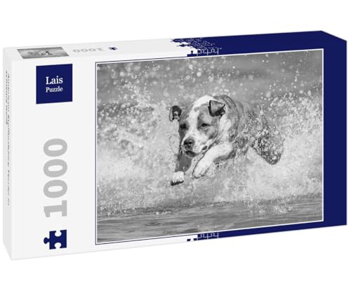 Lais Puzzle American Staffordshire Terrier in schwarz weiß 1000 Teile von Lais Puzzle