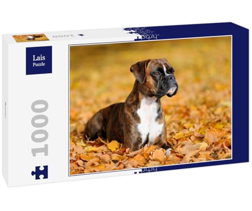 Lais Puzzle Boxer 1000 Teile von Lais Puzzle