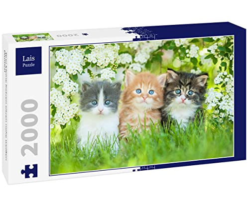Lais Puzzle DREI kleine Katzen sitzen nahe weißen Blumen 2000 Teile von Lais Puzzle