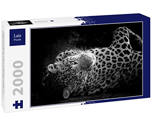 Lais Puzzle Fine Art Porträt der Wilden männlichen Leopard oder Panther in isolierten schwarzen Hintergrund bei Wildlife-Safari im Wald von Zentral-Indien in schwarz weiß 2000 Teile Lais Puzzle Fine Art Porträt der Wilden männlichen Leopard oder Panther in isolierten schwarzen Hintergrund bei Wildlife-Safari im Wald von Zentral-Indien in schwarz weiß 2000 Teile von Lais Puzzle