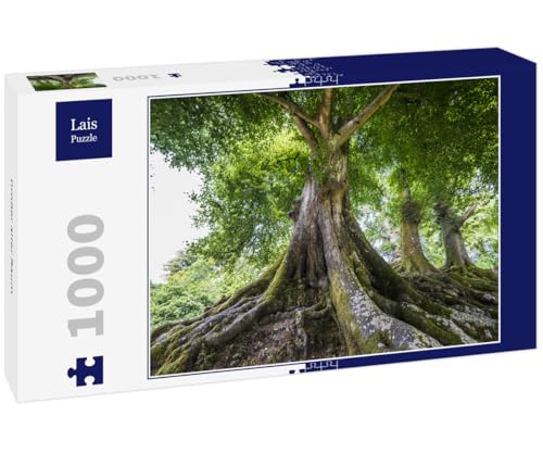 Lais Puzzle Großer Alter Baum 1000 Teile von Lais Puzzle