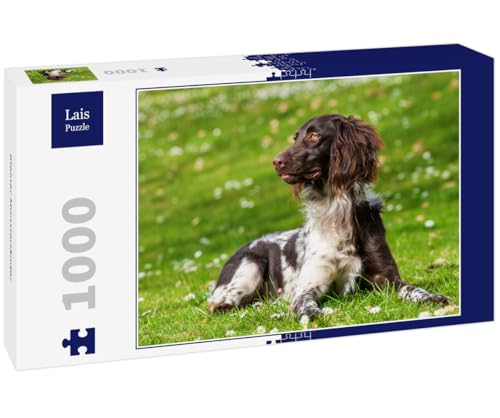 Lais Puzzle Kleiner Münsterländer 1000 Teile von Lais Puzzle