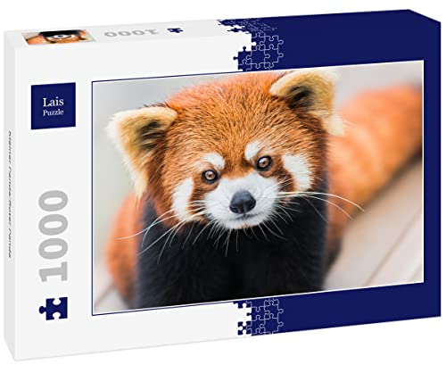 Lais Puzzle Kleiner Panda/Roter Panda 1000 Teile von Lais Puzzle