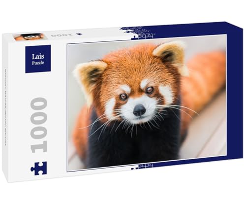 Lais Puzzle Kleiner Panda/Roter Panda 1000 Teile von Lais Puzzle