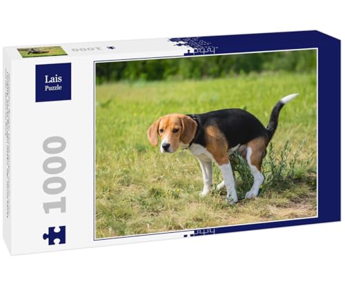 Lais Puzzle Niedlicher Beagle-Hundewelpe Macht Seine Toilette, kackt auf den Rasen. der Hund kackt auf die Natur im Park 1000 Teile von Lais Puzzle