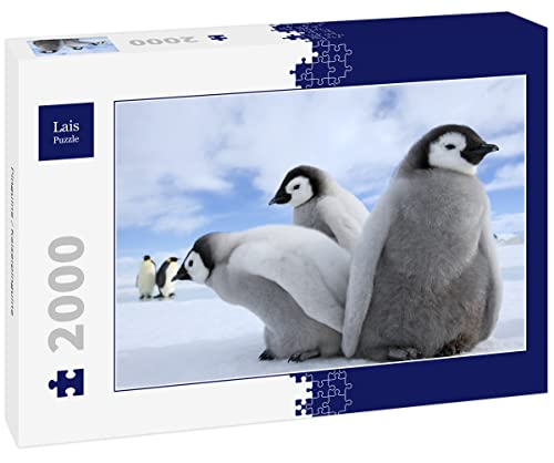 Lais Puzzle Pinguine/Kaiserpinguine 2000 Teile von Lais Puzzle