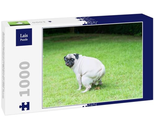 Lais Puzzle Reinigen Sie Ihren Hundekot. Niedlicher Mops-Hundekot auf öffentlichem Feld. Schild Hundekot verboten. Kacken ist Nicht erlaubt 1000 Teile von Lais Puzzle