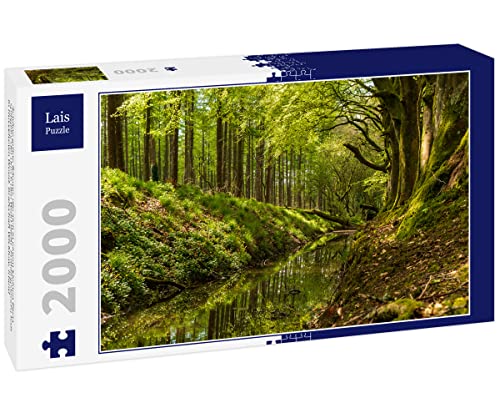 Lais Puzzle Schöne grüne Bäume, die Sich in einem kleinen Fluss spiegeln, der durch den Wald fließt. Frühlingslandschaft in Russeltown Wood, Grafschaft Wicklow, Irland 2000 Teile von Lais Puzzle
