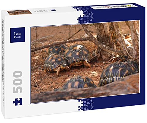 Lais Puzzle Strahlenschildkröten - Astrochelys Radiata - vom Aussterben bedrohte Schildkrötenart, endemisch in Madagaskar, die in der Nähe von Bäumen auf dem Boden Laufen 500 Teile von Lais Puzzle