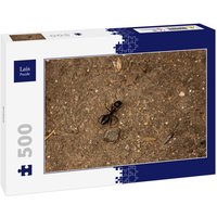 Lais Puzzle Ameise 500 Teile von Lais Systeme