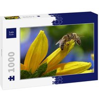 Lais Puzzle Bienen 1000 Teile von Lais Systeme