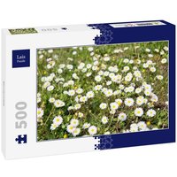 Lais Puzzle Blumenwiese 500 Teile von Lais Systeme