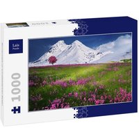 Lais Puzzle Blumenwiese vor schneebedeckten Bergen 1000 Teile von Lais Systeme