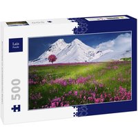 Lais Puzzle Blumenwiese vor schneebedeckten Bergen 500 Teile von Lais Systeme