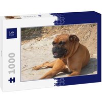 Lais Puzzle Boxer 1000 Teile von Lais Systeme