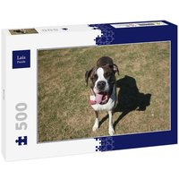 Lais Puzzle Boxer 500 Teile von Lais Systeme