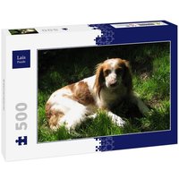 Lais Puzzle Bretonenspaniel 500 Teile von Lais Systeme