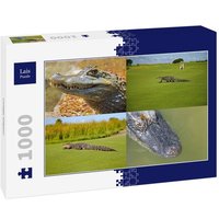 Lais Puzzle Collage Alligator 1000 Teile von Lais Systeme