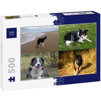Lais Puzzle Collage Border Collie 500 Teile Lais Puzzle Collage Border Collie 500 Teile von Lais Systeme