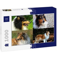 Lais Puzzle Collage Collie 1000 Teile Lais Puzzle Collage Collie 1000 Teile von Lais Systeme