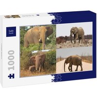 Lais Puzzle Collage Elefant 1000 Teile von Lais Systeme