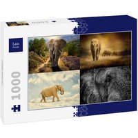 Lais Puzzle Collage Elefanten 1000 Teile von Lais Systeme