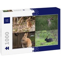 Lais Puzzle Collage Hase 1000 Teile von Lais Systeme
