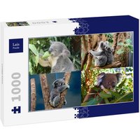 Lais Puzzle Collage Koala 1000 Teile Lais Puzzle Collage Koala 1000 Teile von Lais Systeme