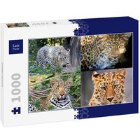 Lais Puzzle Collage Leopard 1000 Teile von Lais Systeme