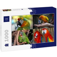 Lais Puzzle Collage Papageien 1000 Teile Lais Puzzle Collage Papageien 1000 Teile von Lais Systeme